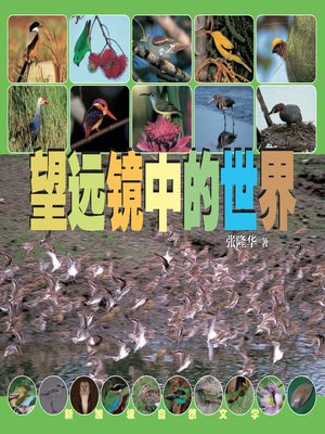 cover image of 望远镜中的世界